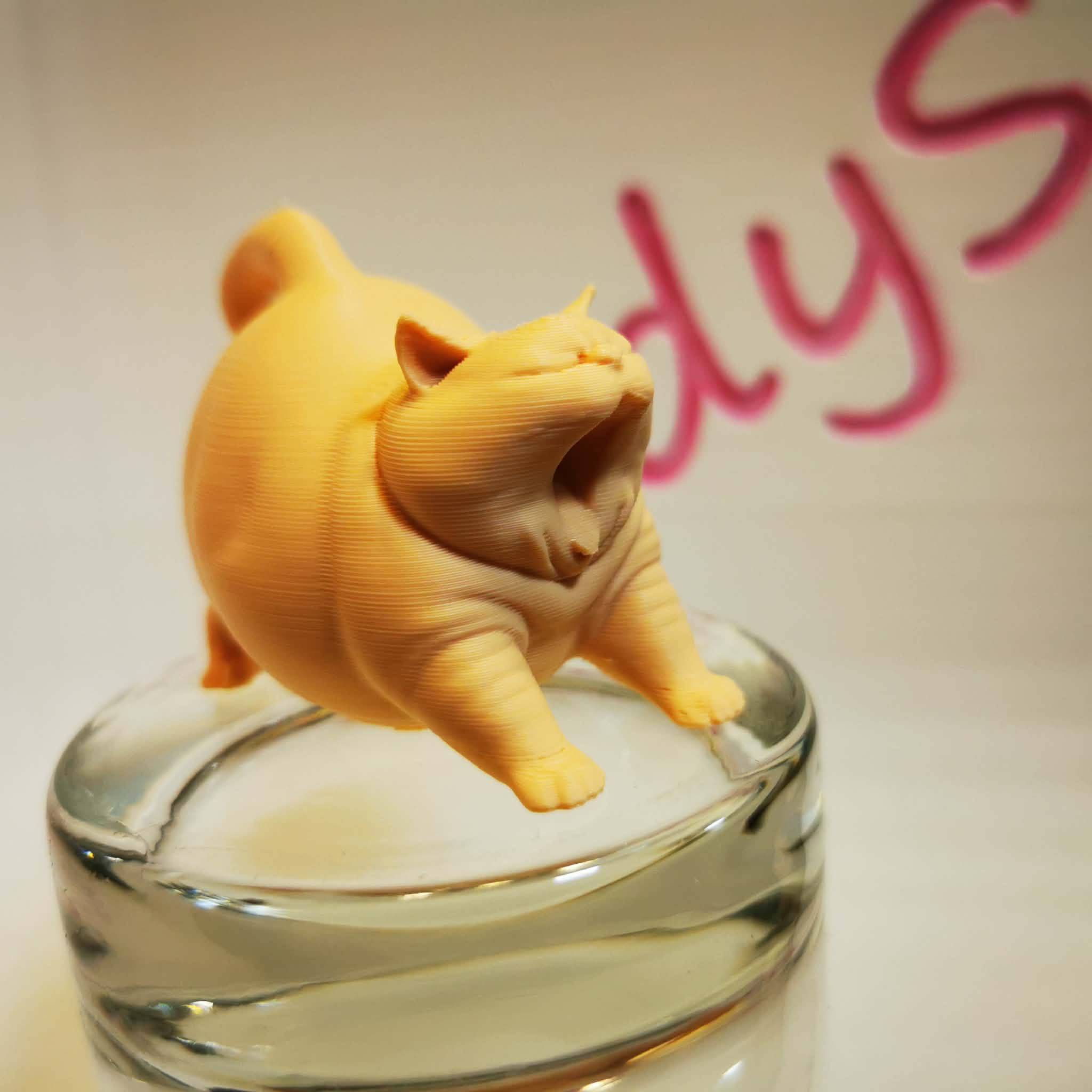 گربه خمیازه‌کش