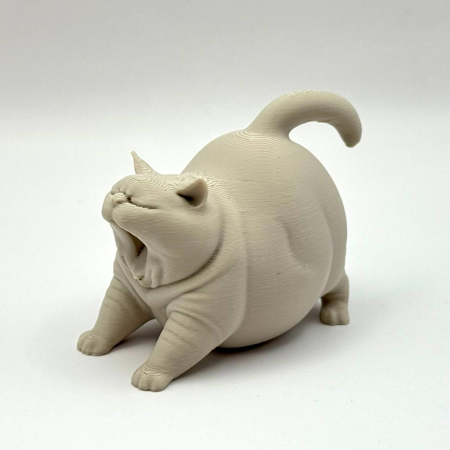 گربه خمیازه‌کش